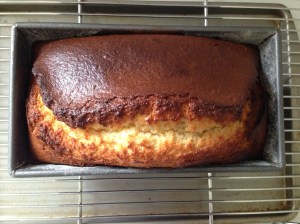 Cake? Or Murderous Plant from Little Shop of Horrors?